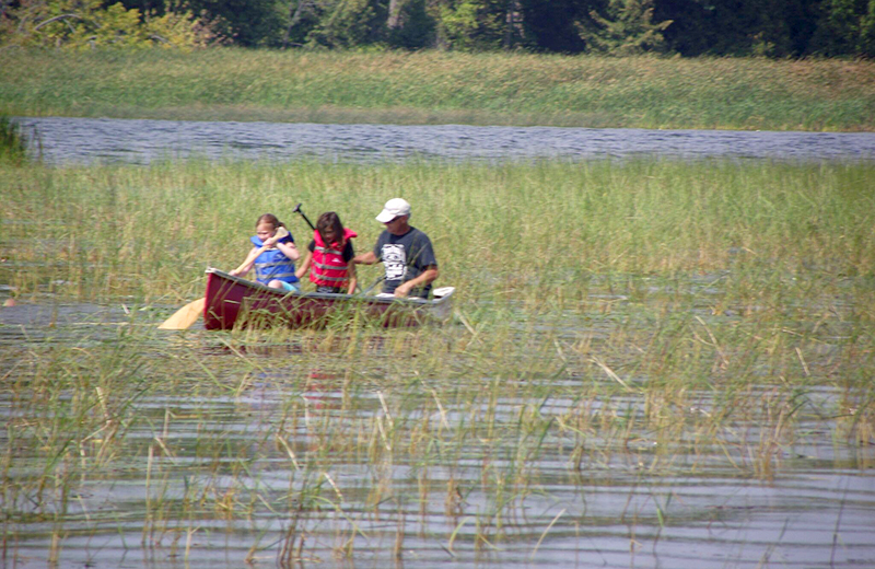 Wild Riceing Arts & Physical Education - Curve Lake First Nation School