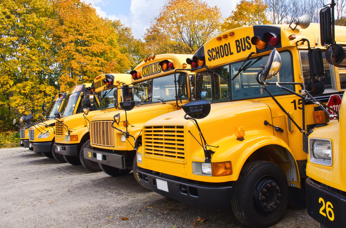 line of buses